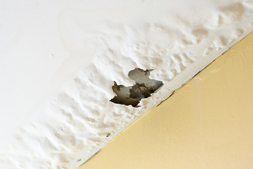 Check your roof and ceiling for water damage