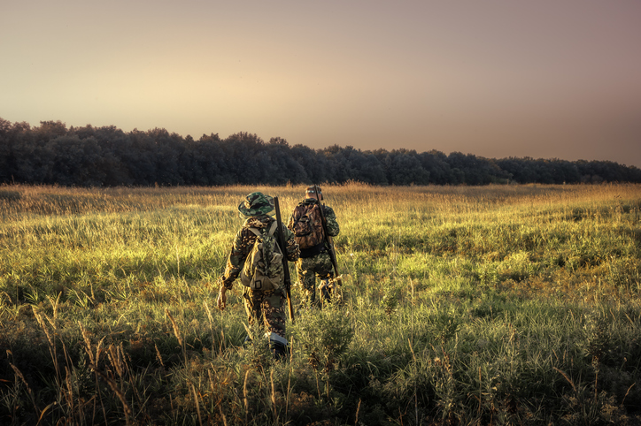 Hunters with hunting equipment going away through rural field towards forest at sunset during hunting season in countryside