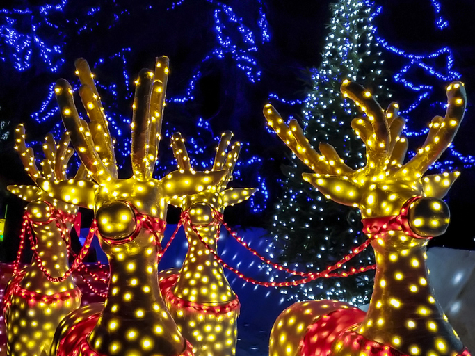 The Best Holiday Lights in Louisiana Louisiana Farm Bureau® Insurance