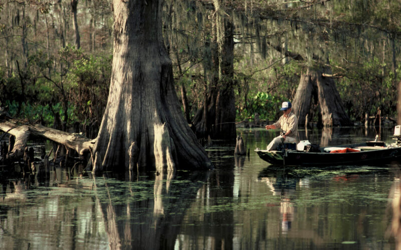 Louisiana fishing clearance