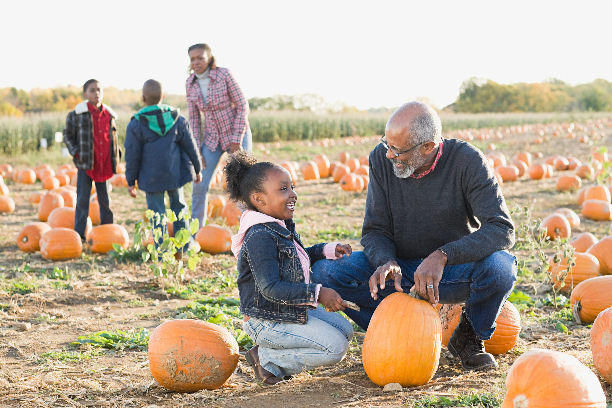 Louisiana UPick Pumpkin Patches Louisiana Farm Bureau® Insurance